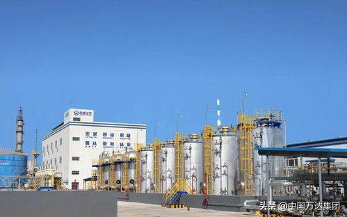 東營(yíng)2021年重點(diǎn)項(xiàng)目觀摩 萬達(dá)集團(tuán)四大項(xiàng)目引領(lǐng)產(chǎn)業(yè)升級(jí)，助推國(guó)內(nèi)旅游業(yè)務(wù)發(fā)展