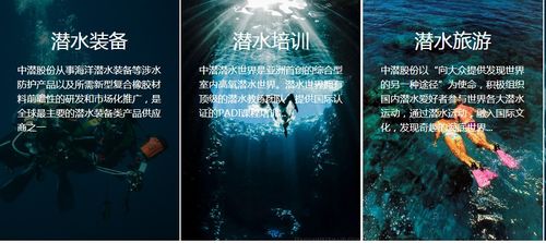 潛水公司加速趕頂，終須一別 從溫州幫現(xiàn)象看國內旅游業(yè)務轉型